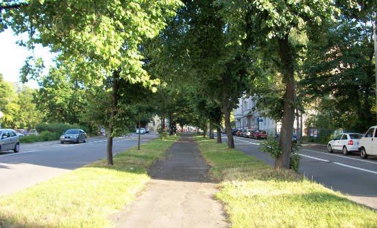 Protest gegen Straßenbahntrasse