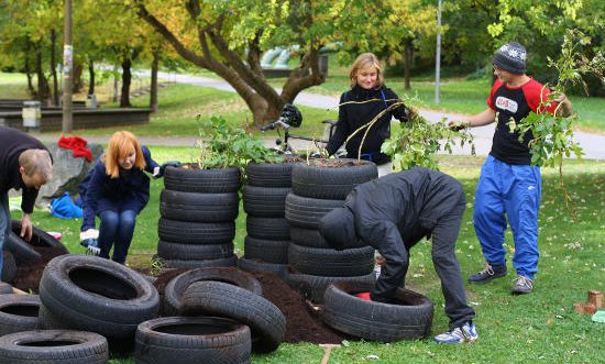 Studenten bepflanzen den Campus in Chemnitz