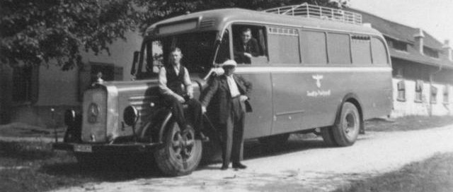 Graue Busse 1
