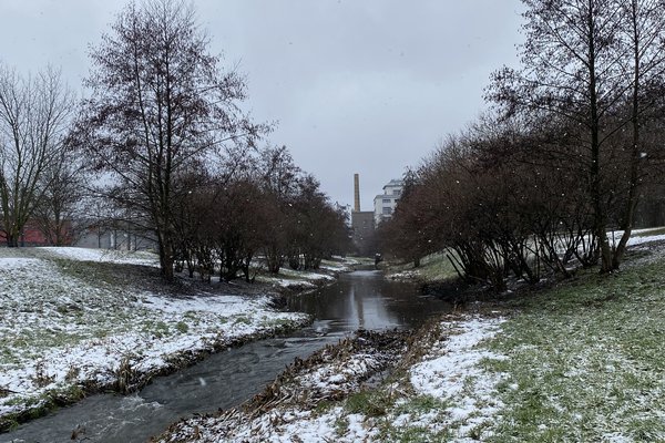 IMG_8041