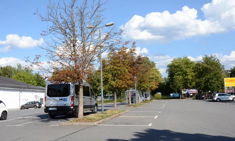 Stadtbäume_Kastanien Parkplatz Netto Heinrich-Schütz-Straße August 2020_StepahnWeingart.JPG