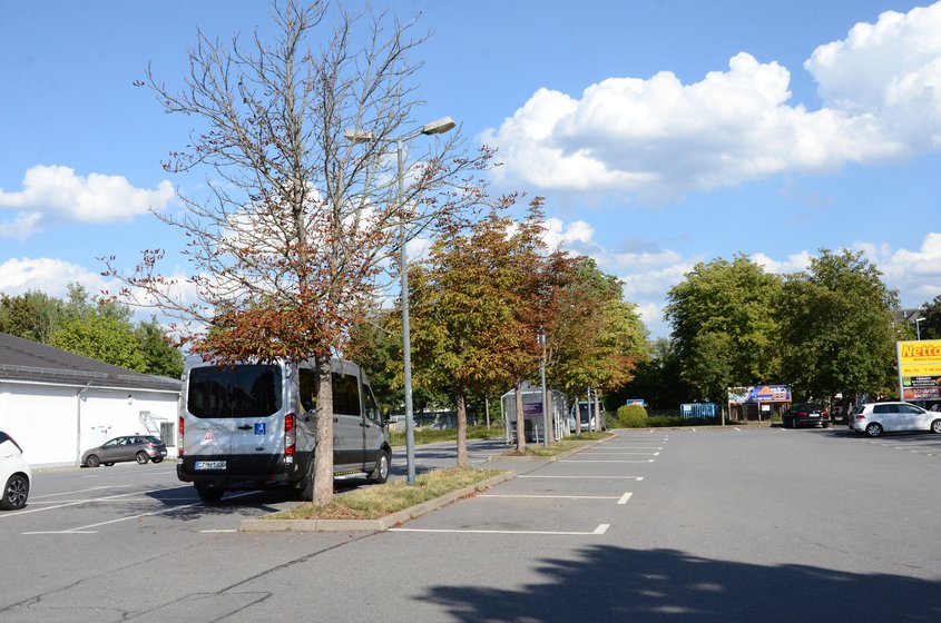 Stadtbäume_Kastanien Parkplatz Netto Heinrich-Schütz-Straße August 2020_StepahnWeingart.JPG