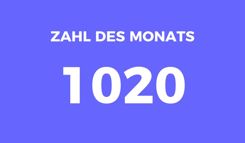 Zahl des Monats Januar Grafik.jpg