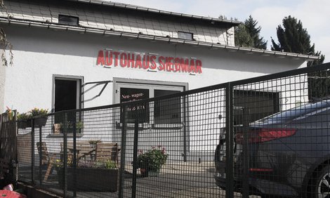 Bild für: Szymmi sucht den Missing Link
