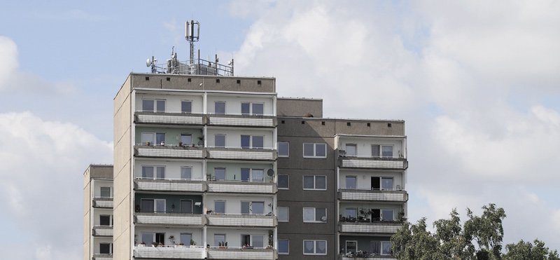 Bild für: Szymmi und der Palast auf dem Hügel