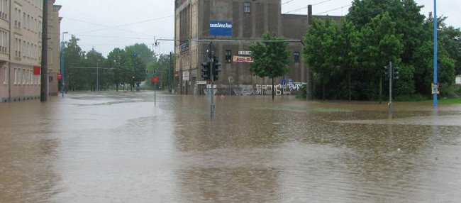Bild für: Nach der Flut